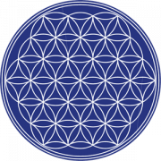 Flower Of Life Background PNG