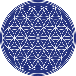 Flower Of Life Background PNG