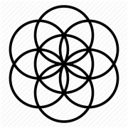 Flower Of Life No Background
