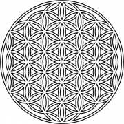 Flower Of Life PNG Background
