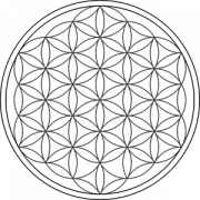 Flower Of Life PNG Photos