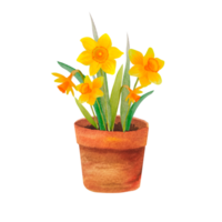 Flower Pot PNG Picture