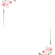 Flowers Border