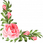 Flowers Border Background PNG