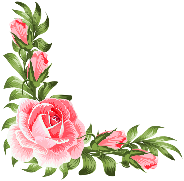 Flowers Border Background PNG