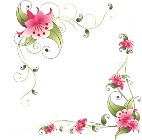 Flowers Border PNG Background