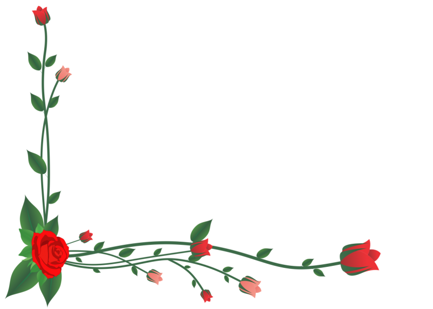 Flowers Border PNG Clipart