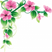 Flowers Border PNG Image HD
