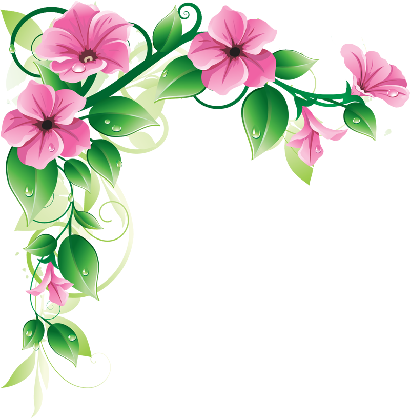 Flowers Border PNG Image HD