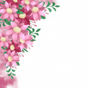 Flowers Border PNG Images HD