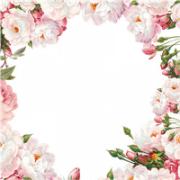 Flowers Border PNG Pic