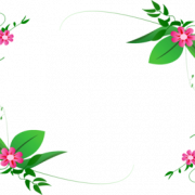 Flowers Border PNG Picture