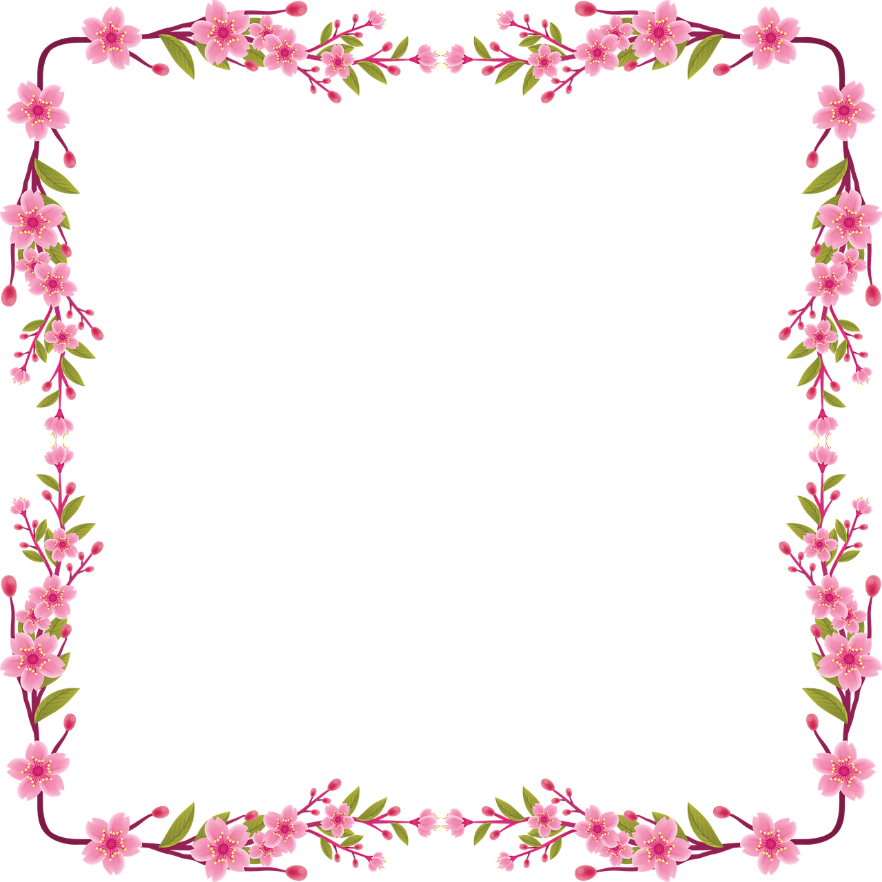 Flowers Border PNG