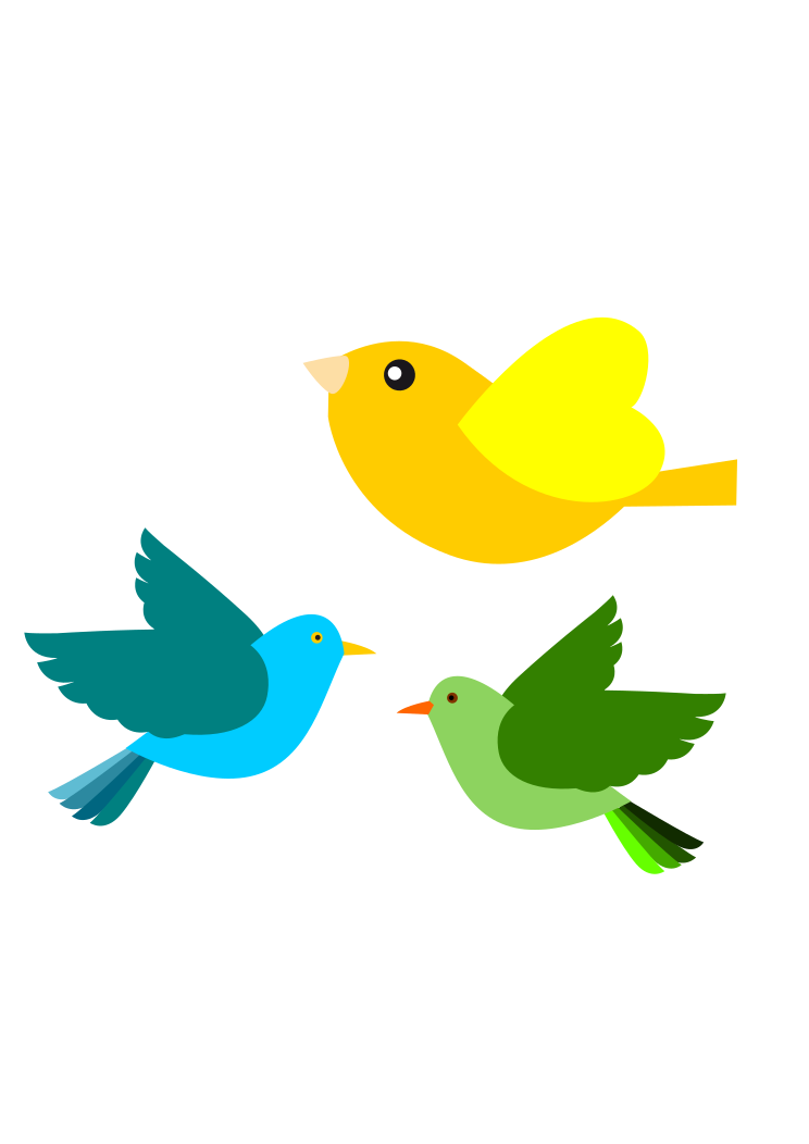 Flying Birds PNG Pic
