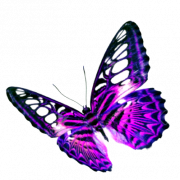 Flying Purple Butterfly Background PNG