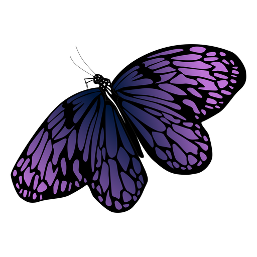 Flying Purple Butterfly PNG Cutout
