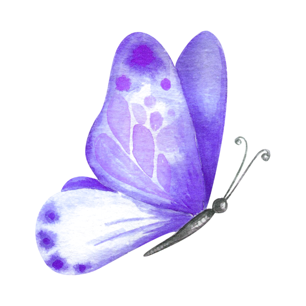 Flying Purple Butterfly PNG File