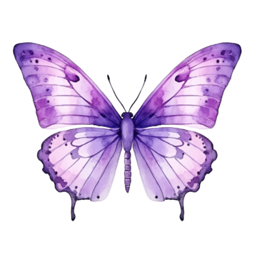 Flying Purple Butterfly PNG Free Image