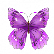 Flying Purple Butterfly PNG Pic