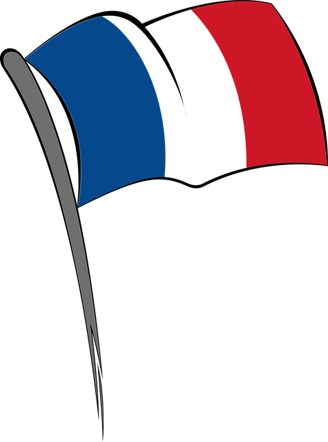French Flag PNG Images