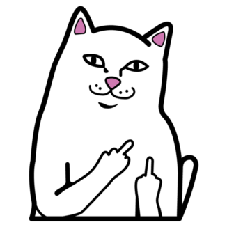 Funny Cat PNG Image HD