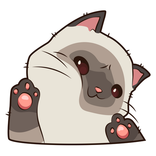Funny Cat PNG Photo