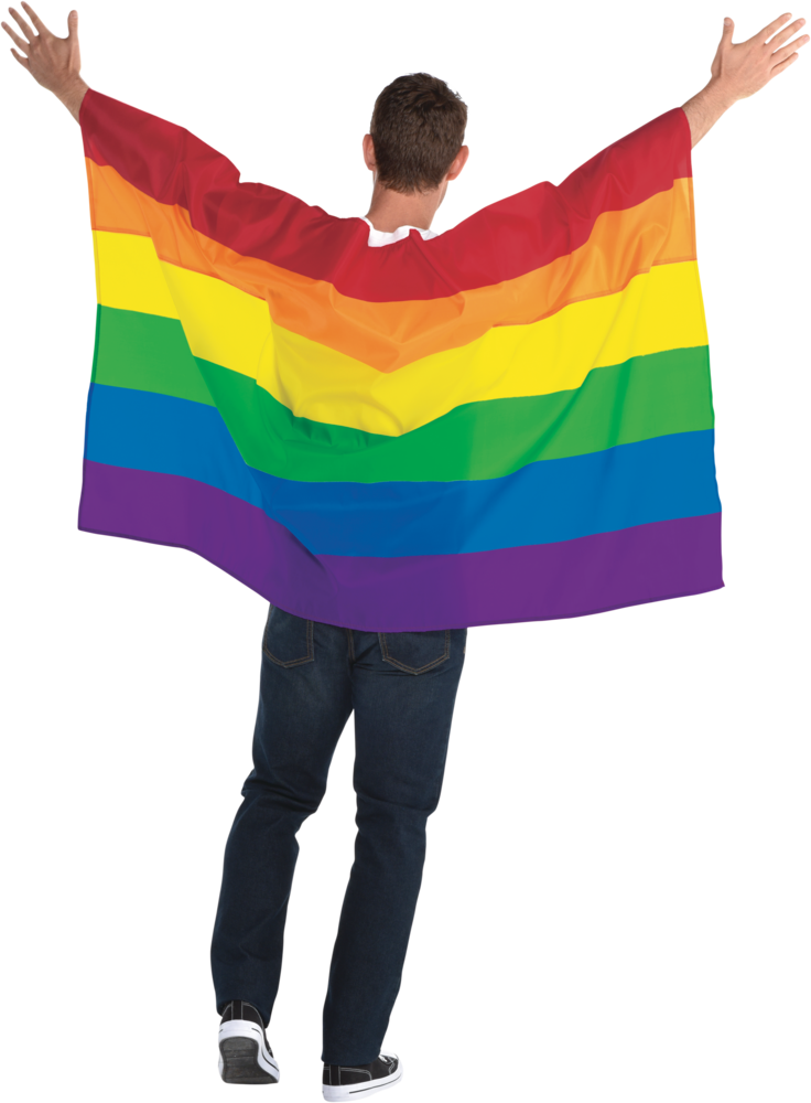 Gay Flag Transparent