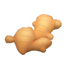 Ginger PNG Picture