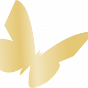 Gold Butterfly PNG