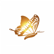 Gold Butterfly PNG Cutout