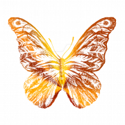 Gold Butterfly PNG Free Image