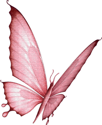 Gold Butterfly PNG Image