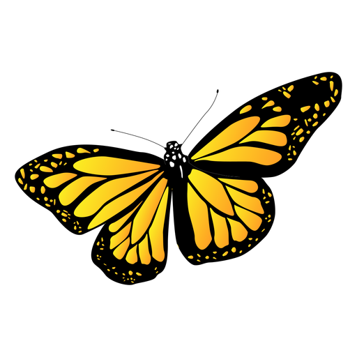 Gold Butterfly PNG Images HD