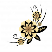 Gold Flower PNG Image HD