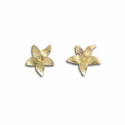 Gold Flower PNG Images HD