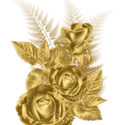 Gold Flower Transparent