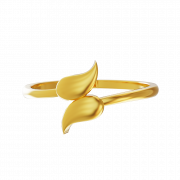 Gold Ring PNG Picture