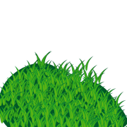 Grass Texture Background PNG