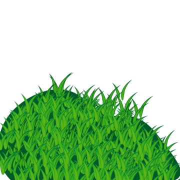 Grass Texture Background PNG
