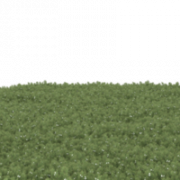 Grass Texture PNG Clipart