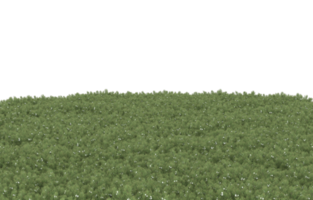 Grass Texture PNG Clipart