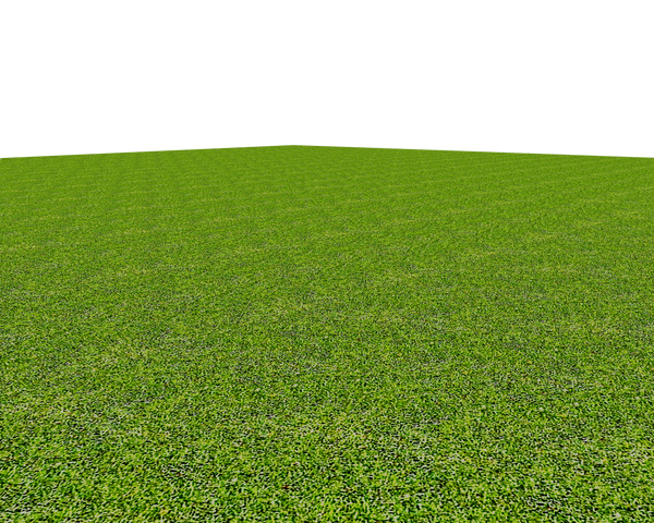 Grass Texture PNG File