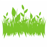 Grass Texture PNG HD Image