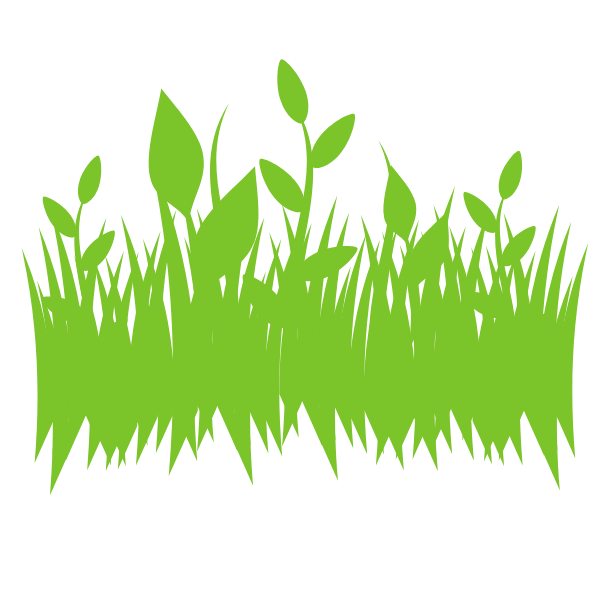 Grass Texture PNG HD Image