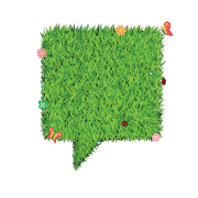 Grass Texture PNG Image