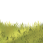 Grass Texture PNG Image File