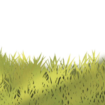 Grass Texture PNG Image File