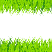 Grass Texture PNG Image HD