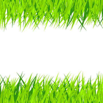 Grass Texture PNG Image HD