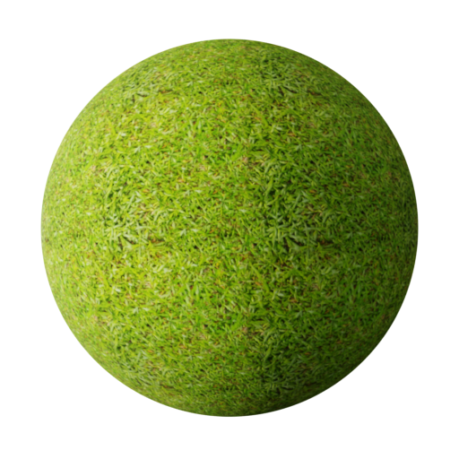 Grass Texture PNG Pic